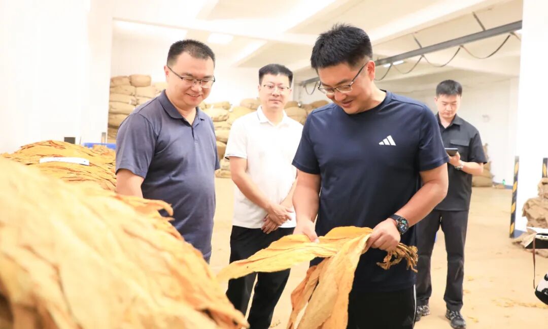 市委書記常成調(diào)研我市烤煙收購工作